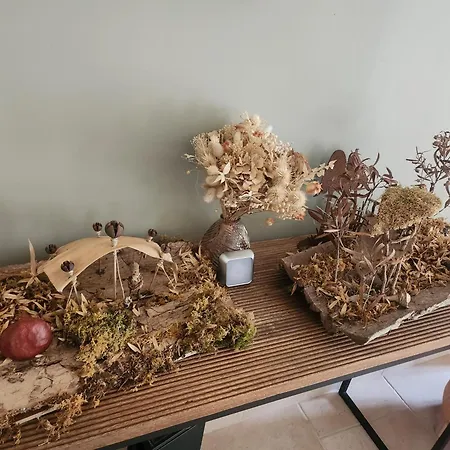 Homestay Le Marais 74 Coulandon